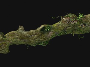 elven mountains - green algae - dead trees 01 3D Model