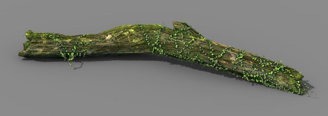 elven mountains - green algae - dead trees 02 Modello 3D .c4d .max .obj .3ds .fbx .stl .blend 