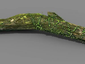 monta&ntilde;as &eacute;lficas - algas verdes - &aacute;rboles muertos 02 Modelo 3D