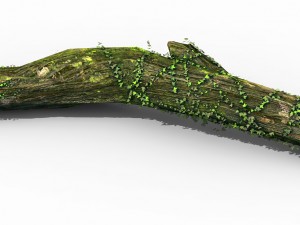 elven mountains - green algae - dead trees 02 Modello 3D