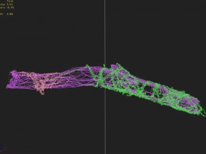 elven mountains - green algae - dead trees 02 Modello 3D