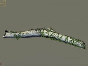 elven mountains - green algae - dead trees 02 Modello 3D