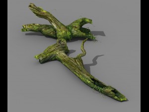 elven mountains - green algae - dead trees 03 3D Model