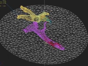 elven mountains - green algae - dead trees 03 3D Model