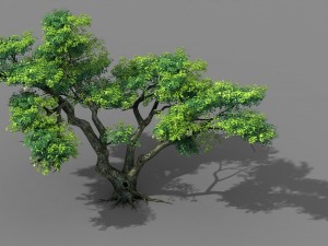 fairy mountains - tree 01 3D Model