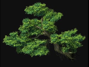 fairy mountains - cliff - tree 01 3D 모델