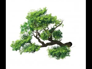 fairy mountains - cliff - tree 02 3D Model
