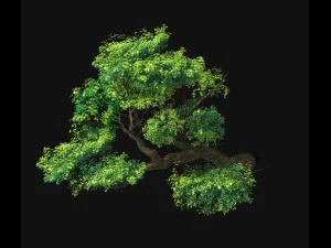 fairy mountains - cliff - tree 02 3D Model