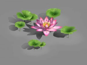 willa elf&oacute;w - lotos 01 Model 3D