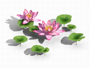 elves villa - lotus 02 3D Модель