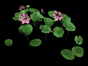 elves villa - lotus 04 Modello 3D