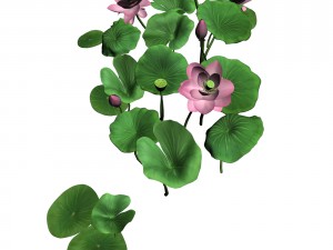 elves villa - lotus 04 Modello 3D