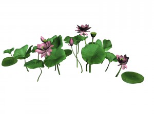 elves villa - lotus 04 Modello 3D