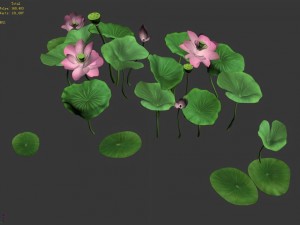elves villa - lotus 04 Modello 3D