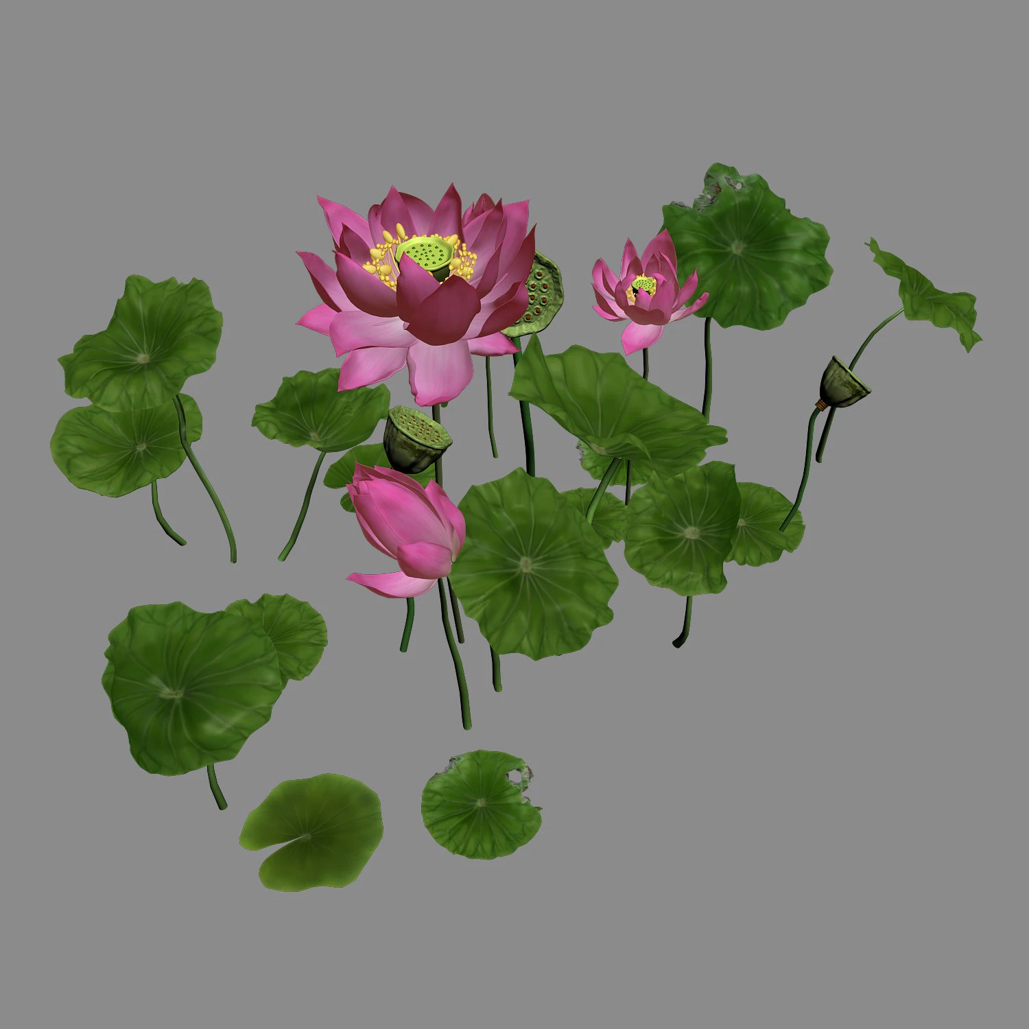 elves villa - lotus 05 3D Model .c4d .max .obj .3ds .fbx .stl .blend