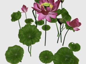 elves villa - lotus 05 Modelo 3D