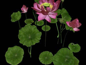 elves villa - lotus 05 Modelo 3D