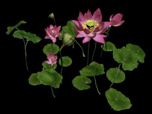elves villa - lotus 05 Modelo 3D