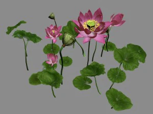 elves villa - lotus 05 3D Model
