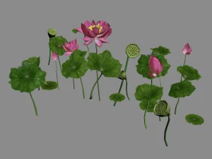 elves villa - lotus 06 3D Model