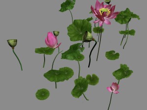 elves villa - lotus 06 3D 模型
