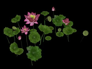 elves villa - lotus 06 3D Model