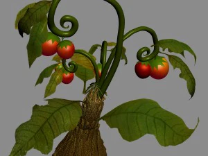 elfenvilla - bloemen 01 3D Model