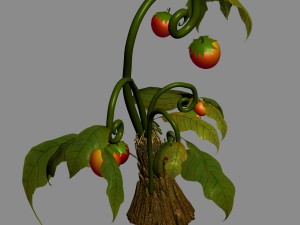 elves villa - flowers 01 3D Модель