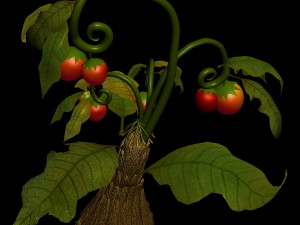 elves villa - flowers 01 3D Модель