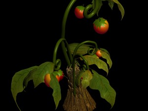 elves villa - flowers 01 3D Модель