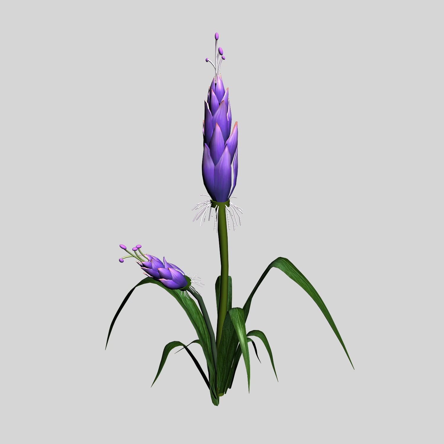 wizard villa - flowers 02 3D Model .c4d .max .obj .3ds .fbx .stl .blend 