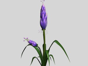 wizard villa - flowers 02 3D 模型
