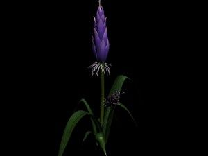 wizard villa - flowers 02 3D Модель