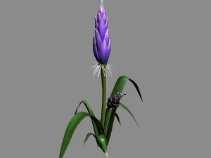wizard villa - flowers 02 3D Модель