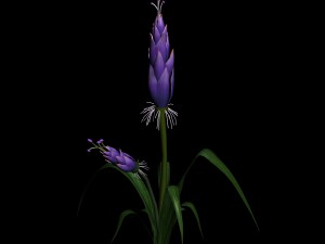 wizard villa - flowers 02 3D Модель