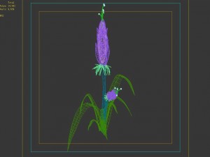 wizard villa - flowers 02 3D Модель