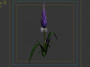 wizard villa - flowers 02 3D Модель