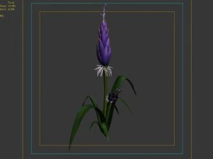 wizard villa - flowers 02 3D Model