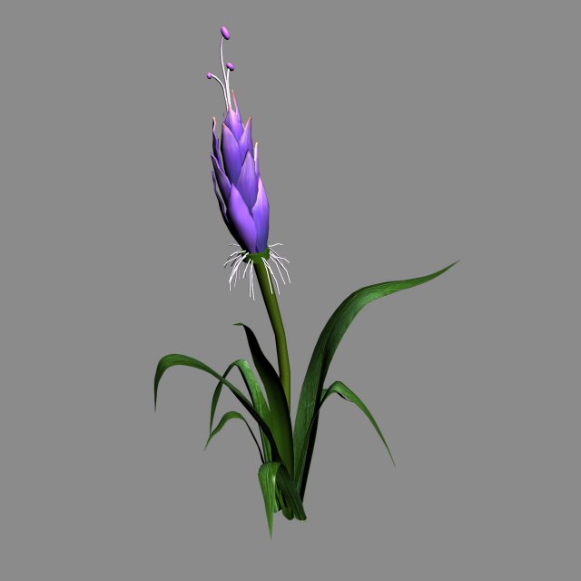 elven villa - flowers 03 3D 모델 .c4d .max .obj .3ds .fbx .stl .blend