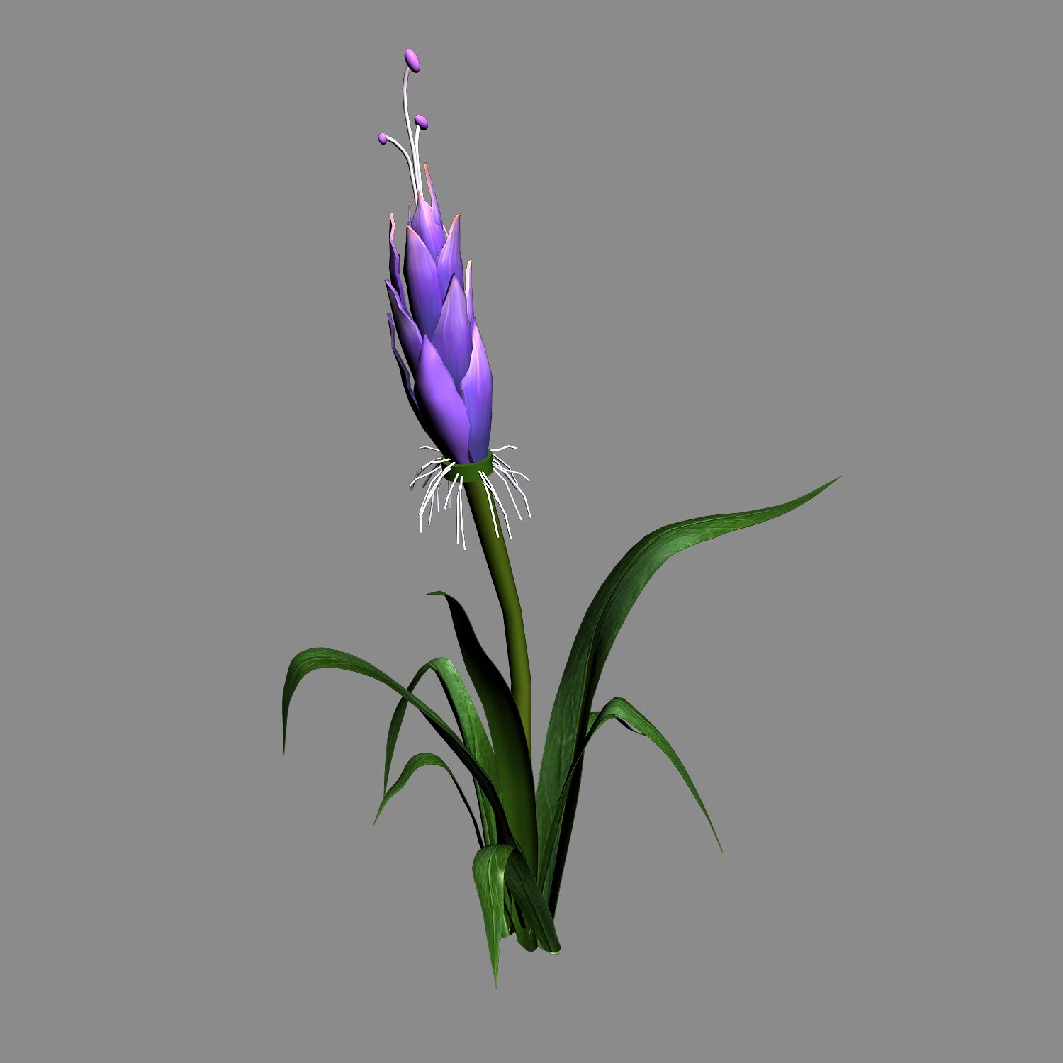 elven villa - flowers 03 3D Model .c4d .max .obj .3ds .fbx .stl .blend