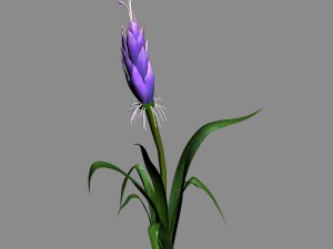 elven villa - flowers 03 3D Model