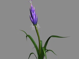 elven villa - flowers 03 3D Model