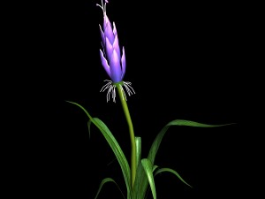 elven villa - flowers 03 3D 모델