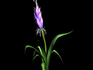 elven villa - flowers 03 3D 모델