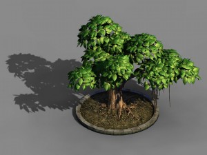 elven villa - broadleaf 01 3D Model