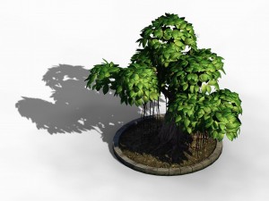 elven villa - broadleaf 01 Model 3D