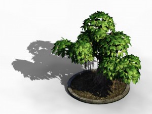 elven villa - broadleaf 01 Model 3D