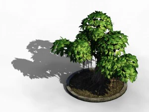 elven villa - broadleaf 01 3D Model