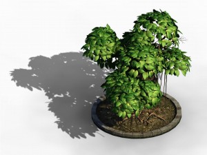 elven villa - broadleaf 01 Model 3D