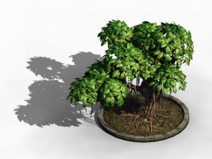 elven villa - broadleaf 01 Model 3D